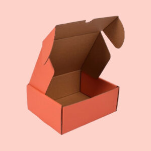 Kraft Mailer Boxes
