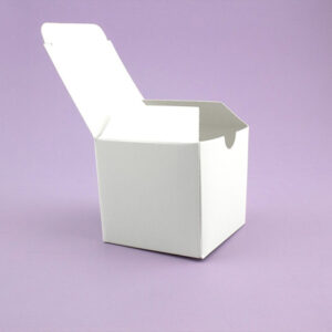 White Kraft Boxes